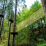 Waingarth Grizedale Forest & Satterthwaite * אולברסטון