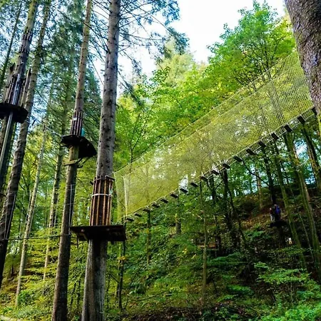 Waingarth Grizedale Forest & Satterthwaite * Улверстон