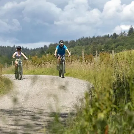 Waingarth Grizedale Forest & Satterthwaite * Ulverston