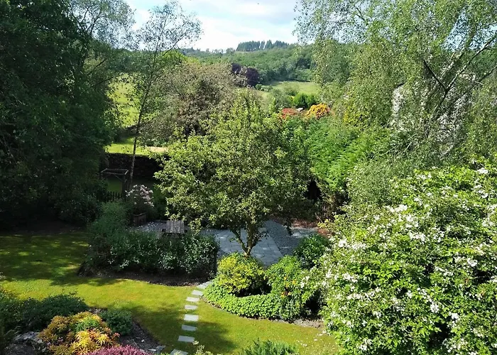 Waingarth Grizedale Forest & Satterthwaite * Ulverston