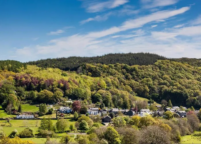 Waingarth Grizedale Forest & Satterthwaite Feriehus