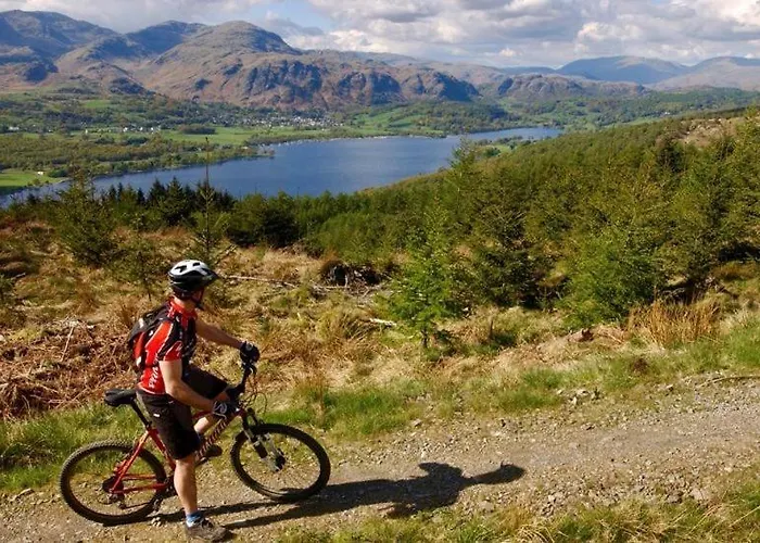 Waingarth Grizedale Forest & Satterthwaite Feriehus