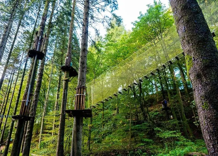 Waingarth Grizedale Forest & Satterthwaite * Ulverston