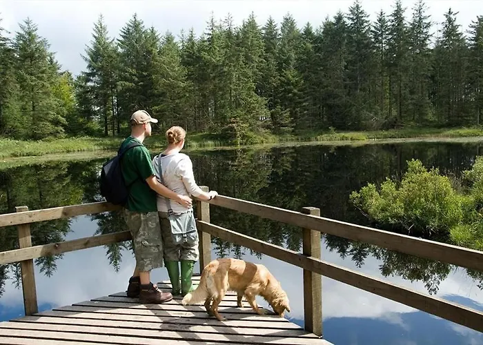 Feriehus Waingarth Grizedale Forest & Satterthwaite
