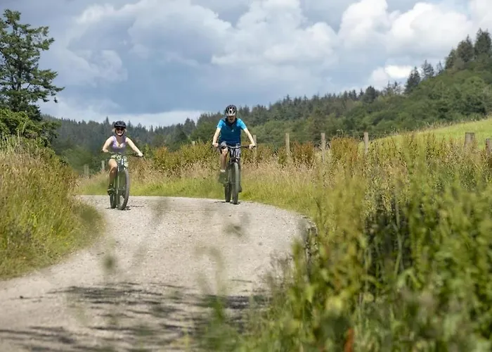 Waingarth Grizedale Forest & Satterthwaite * Ulverston